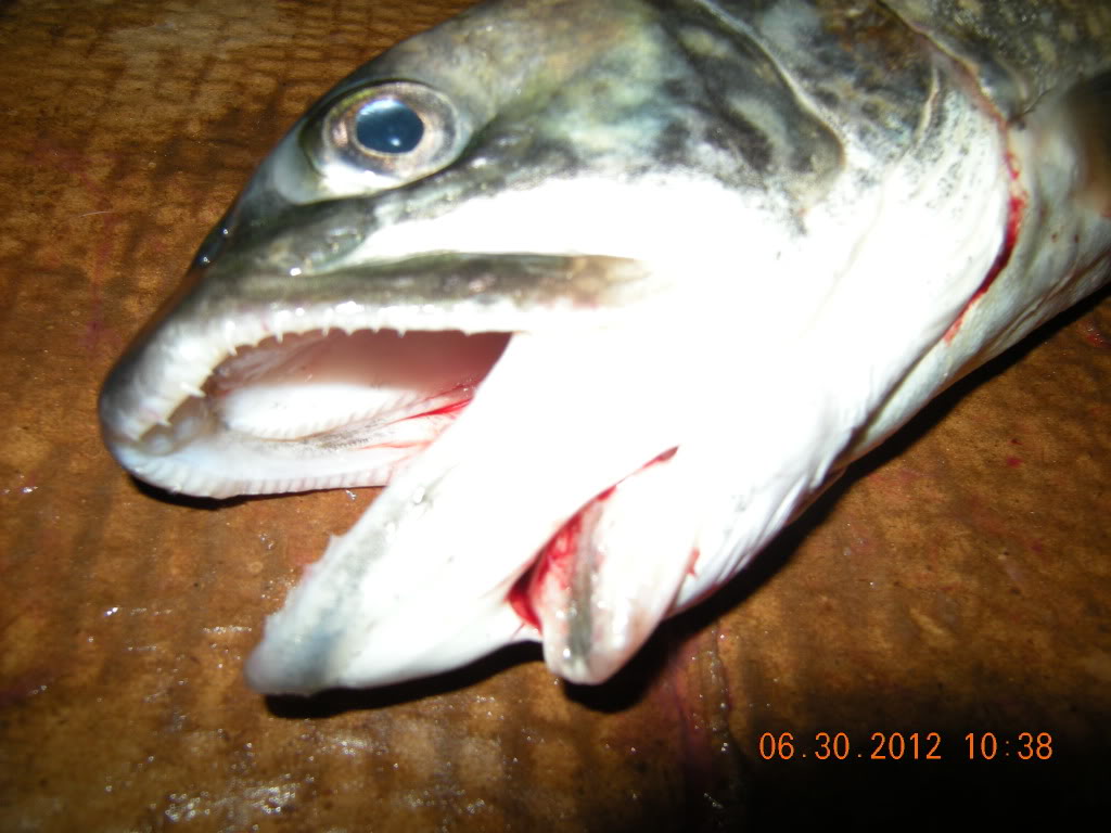 DSCN2807.jpg
