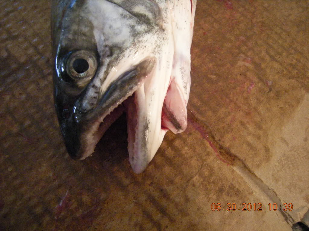 DSCN2809.jpg