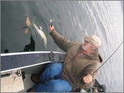 DSCN3378.jpg