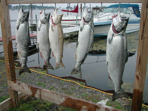 DSCN8235.jpg