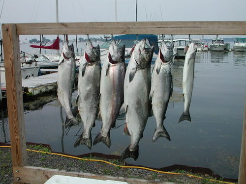 DSCN8259.jpg