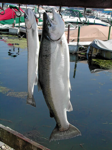 DSCN9579.jpg
