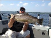Dan13lb_Brown.jpg