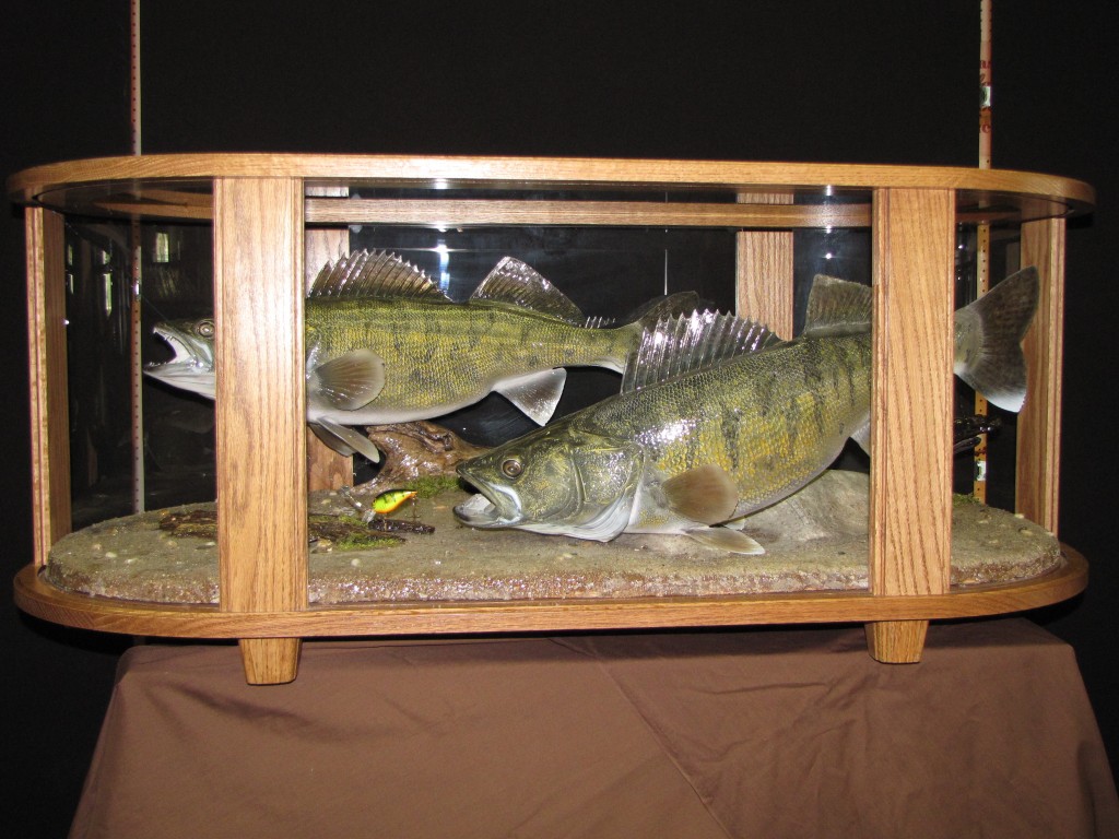 Dans-Wildlife-Creations-Taxidermy-Studio