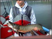 Dustin_Pike_5_13_12.jpg