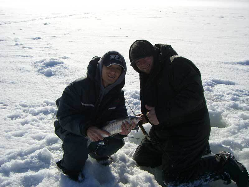 Feb-16-08-08.jpg