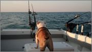 Fenway_Fishing.jpg