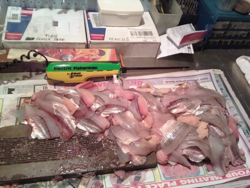 Filets.jpg