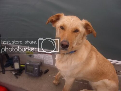 FirstMate.jpg