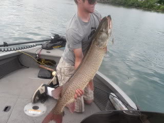 Fish2010018.jpg
