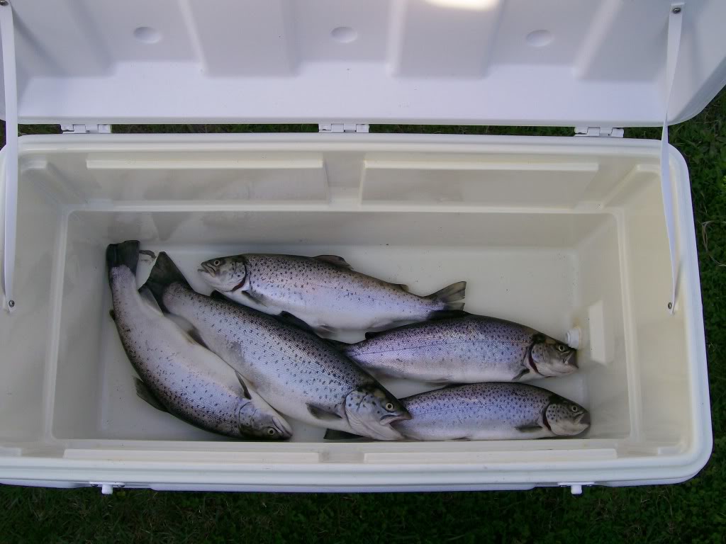 Fishing114.jpg