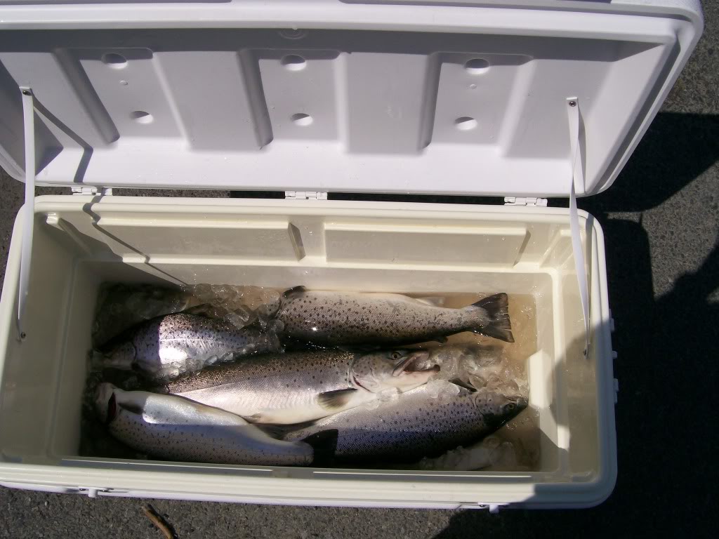 Fishing115.jpg