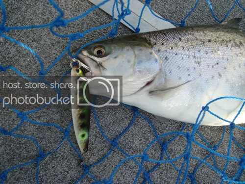 Fishing2009056.jpg