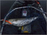 Fishing_j_bay_and_seneca_069.jpg