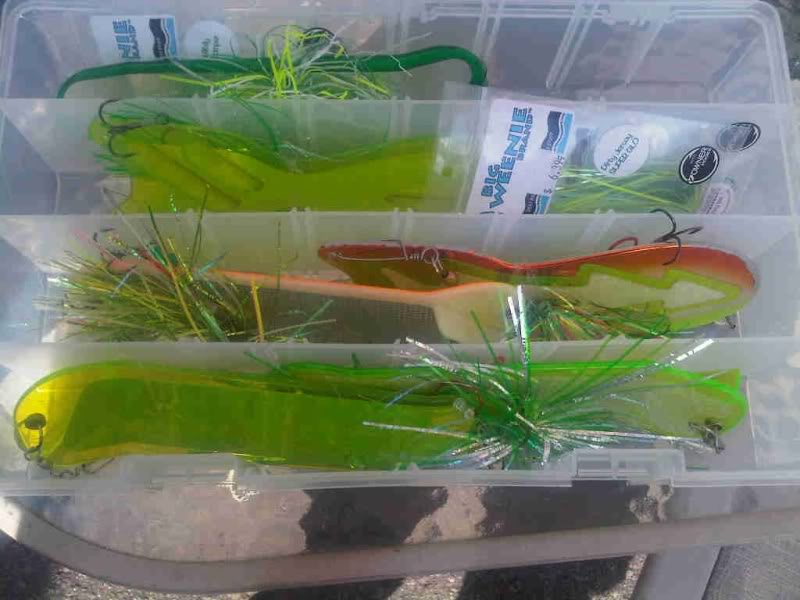 Flasher Fly storage Questions About Trout & Salmon Trolling? Lake