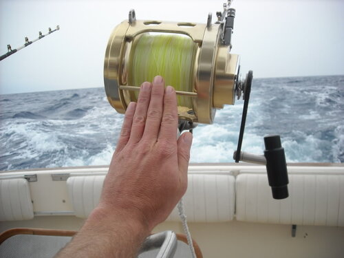 Hawaivacation240.jpg