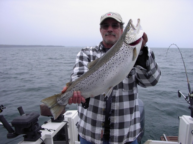 IM001428-1.jpg