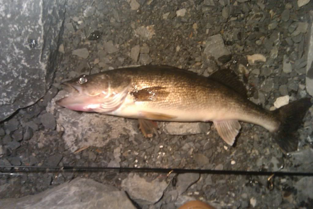 IMAG0318.jpg