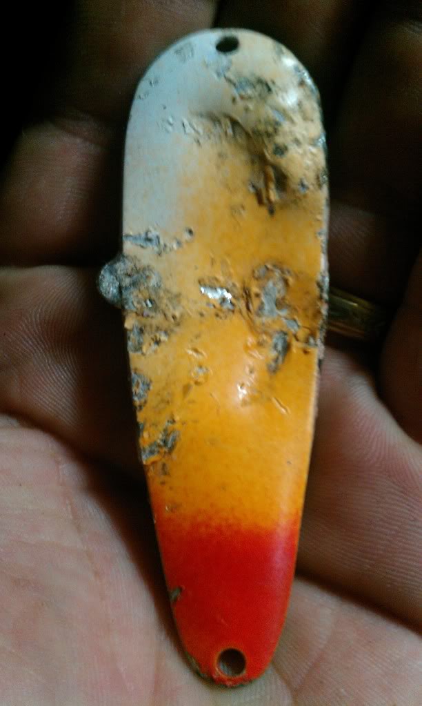 IMAG0492.jpg