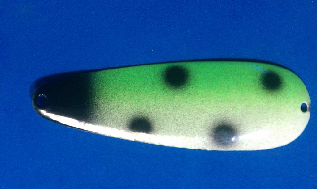 IMAG0504.jpg