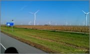 IMAG0806.jpg