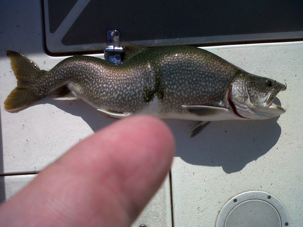 IMG-20120519-00053.jpg