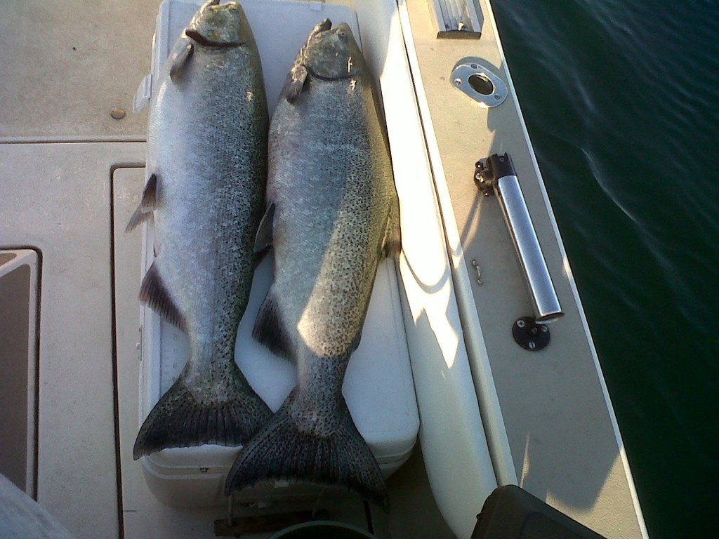 IMG-20120821-00207.jpg