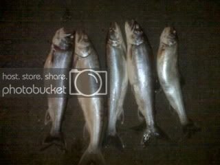 IMG00281jpg.jpg