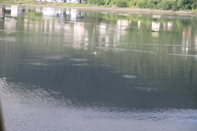 IMG1045-L.jpg