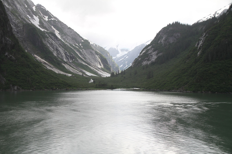 IMG1116-L.jpg