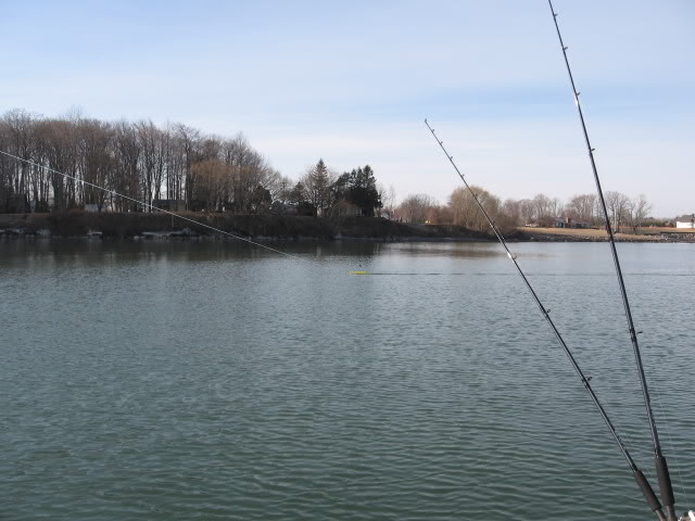 IMG_0161.jpg