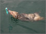 IMG_0182.jpg