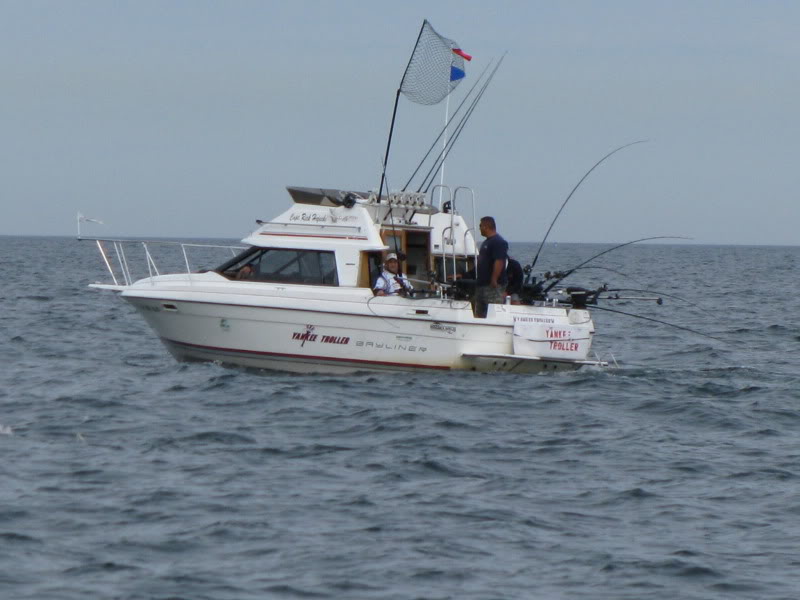IMG_0480.jpg