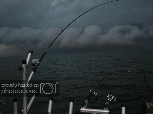 IMG_1088_zps9ded9434.jpg
