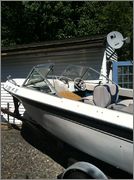 IMG_1503.jpg