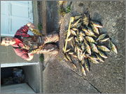 IMG_20120316_180951.jpg