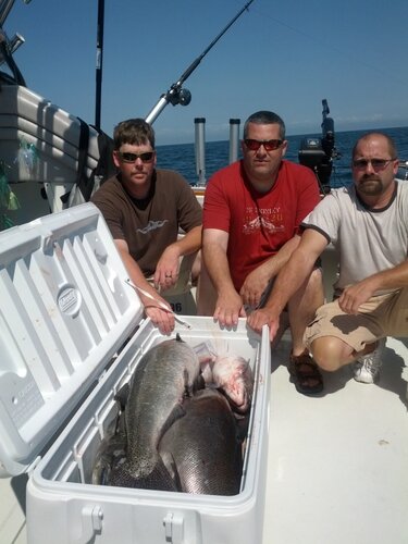 IMG_20120902_130636.jpg
