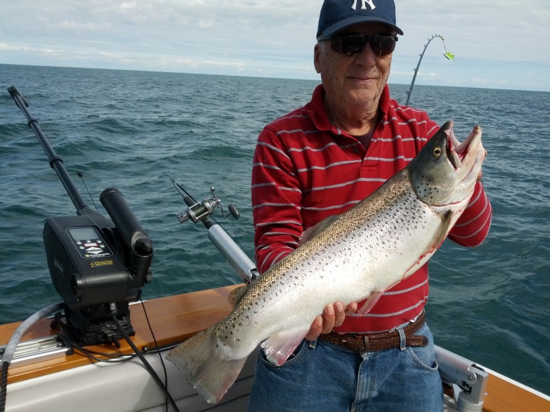 IMG_20120915_125042.jpg