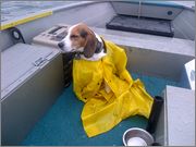 IMG_20121007_00004.jpg