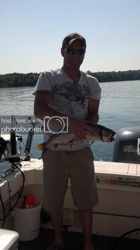IMG_20130621_093442_741_zps5b48ac65.jpg
