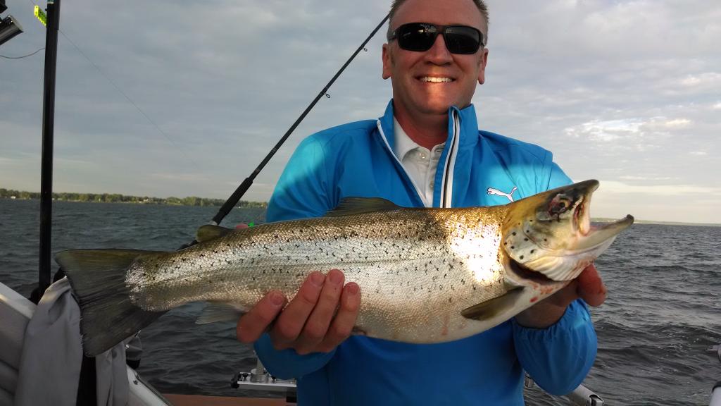 IMG_20140706_062905074_zpshg8sirbe.jpg