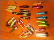 IMG_2407_1.jpg