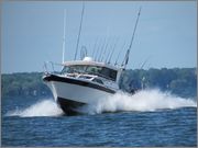 IMG_2481.jpg