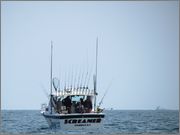 IMG_2484.jpg