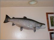 IMG_3266.jpg