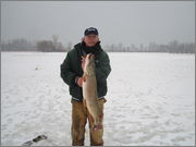 IMG_4210.jpg
