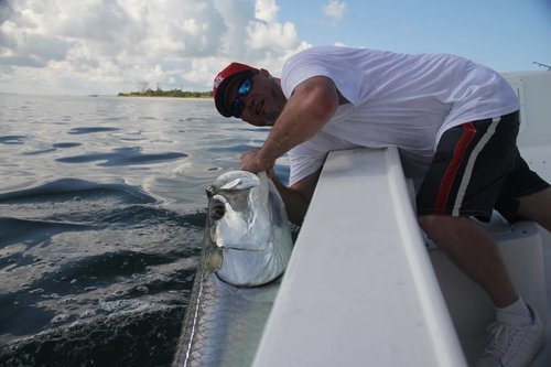 IMG_6618.jpg