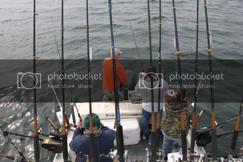 IMG_7171.jpg