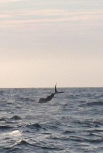 IMG_8854.jpg