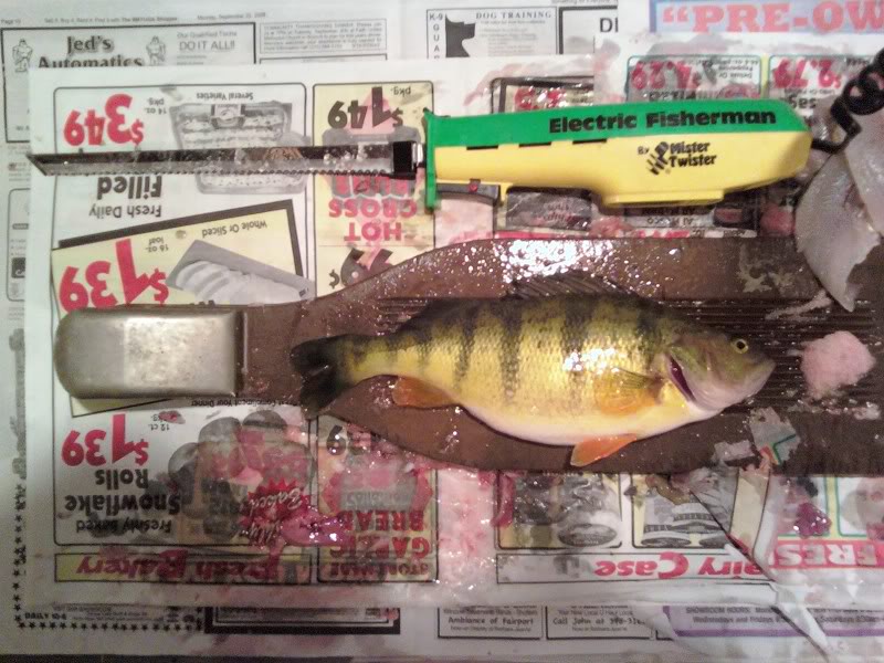 JackPerch1.jpg